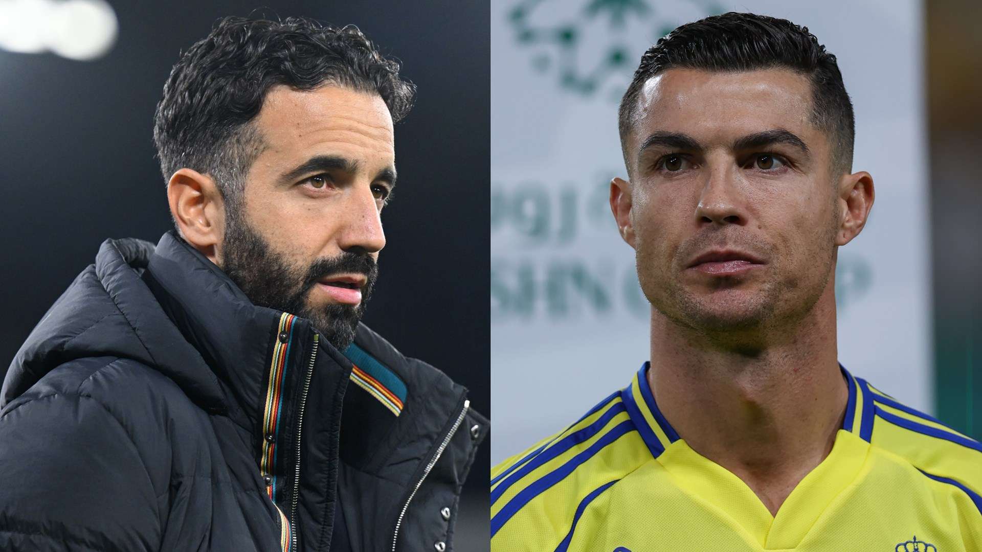 他的职业生 他的职业生